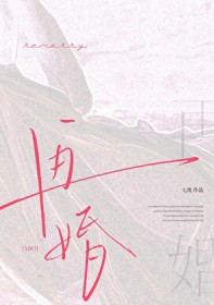 再婚abo
